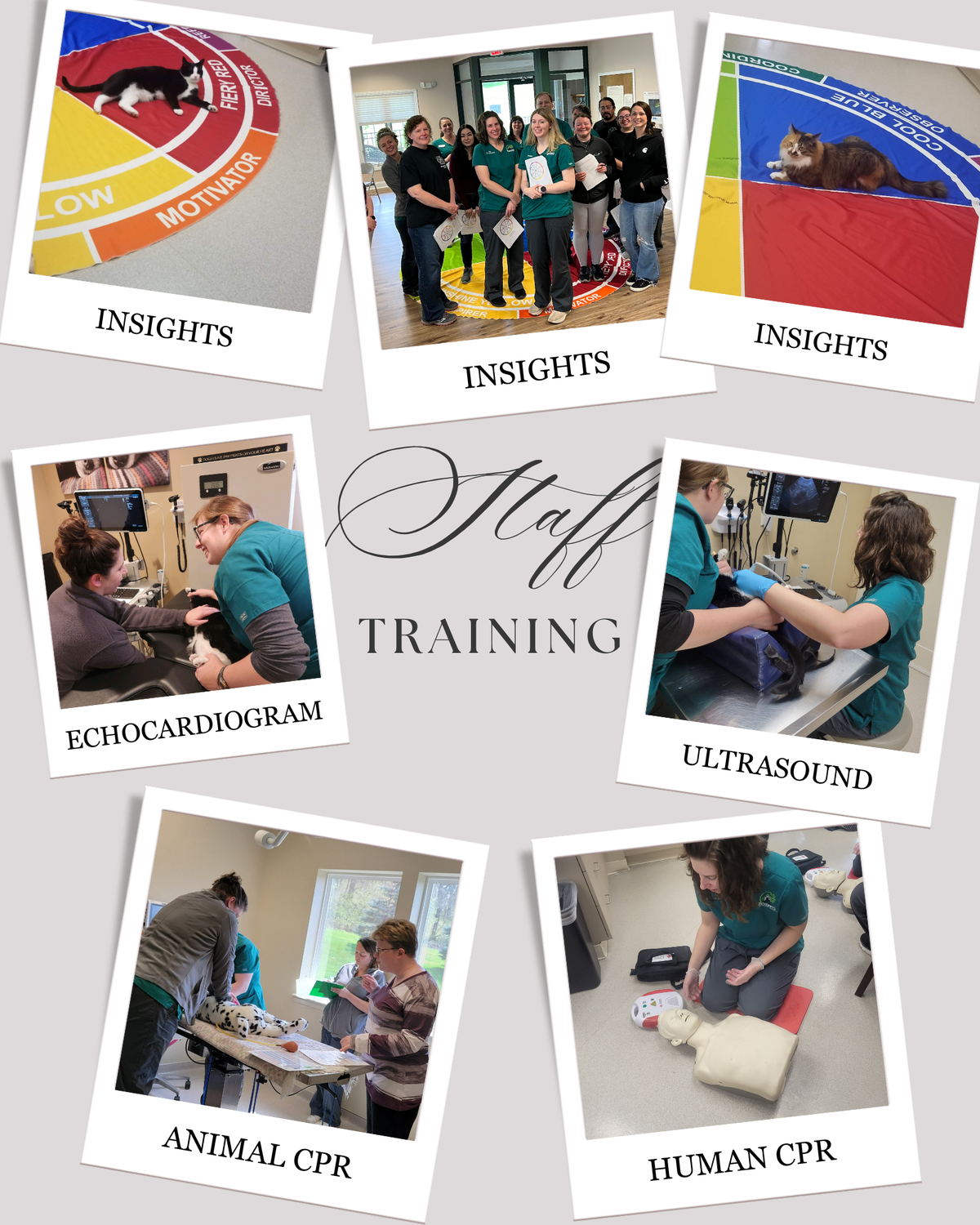 Staff Trainings