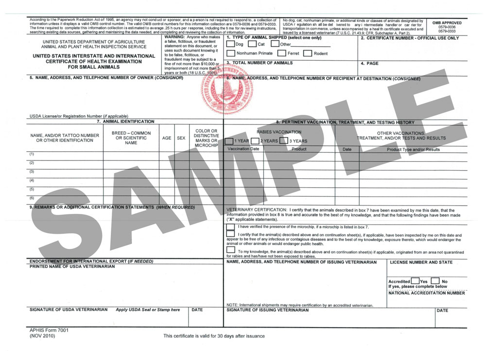 International Travel Form